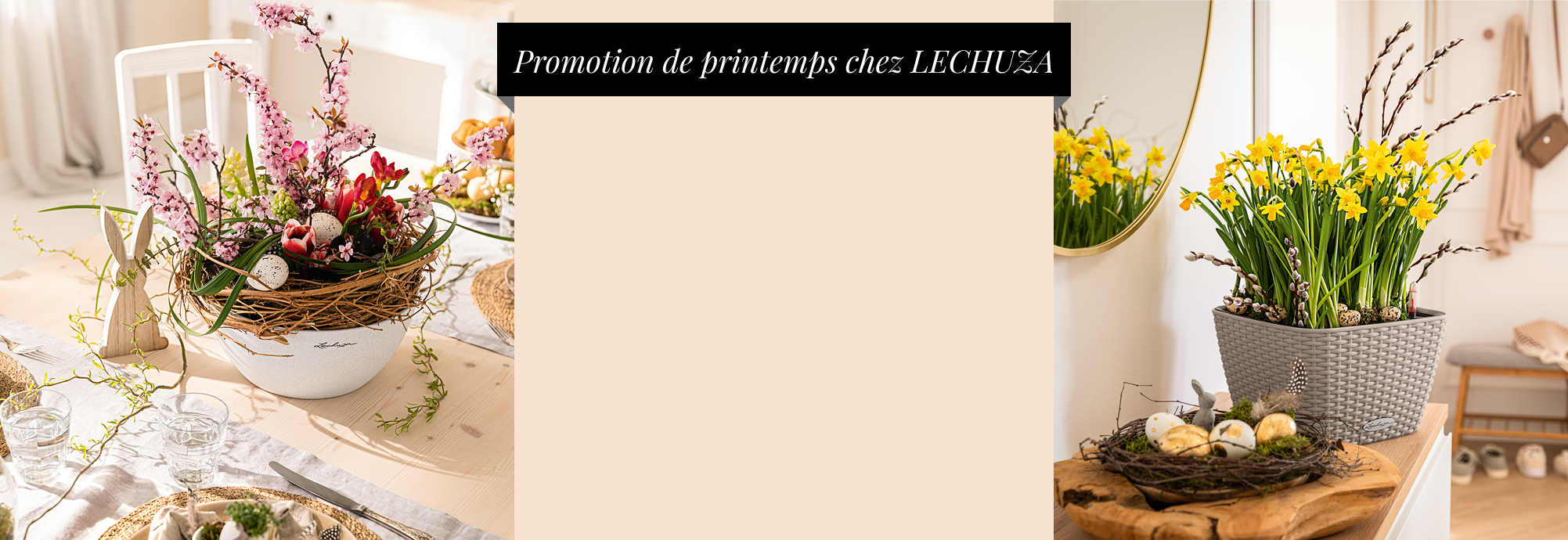 5 &euro; de r&eacute;duction sur nos bacs &agrave;
      plantes