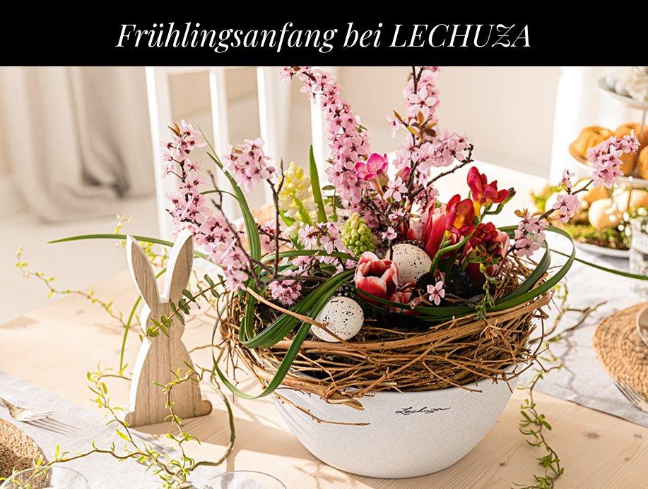 5 &euro; Rabatt auf
        Pflanzschalen