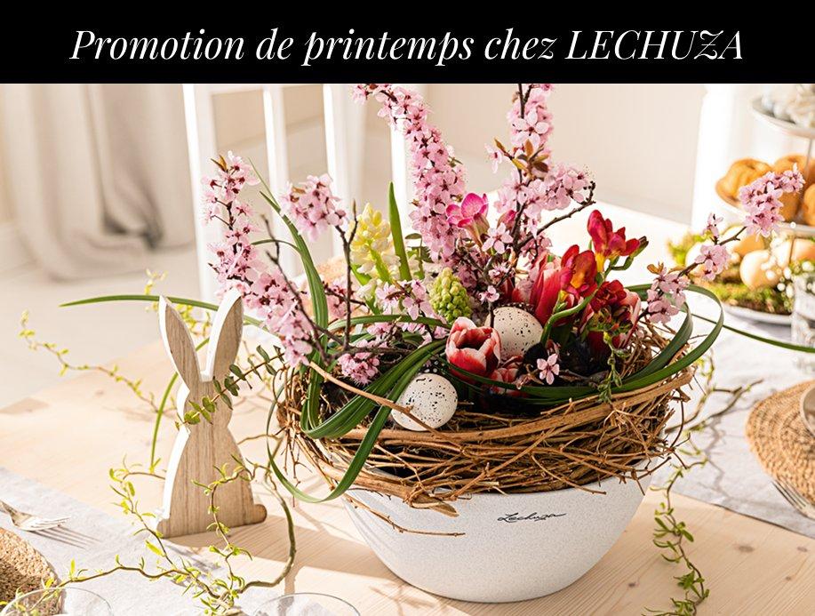 5 &euro; de r&eacute;duction sur nos bacs &agrave;
        plantes