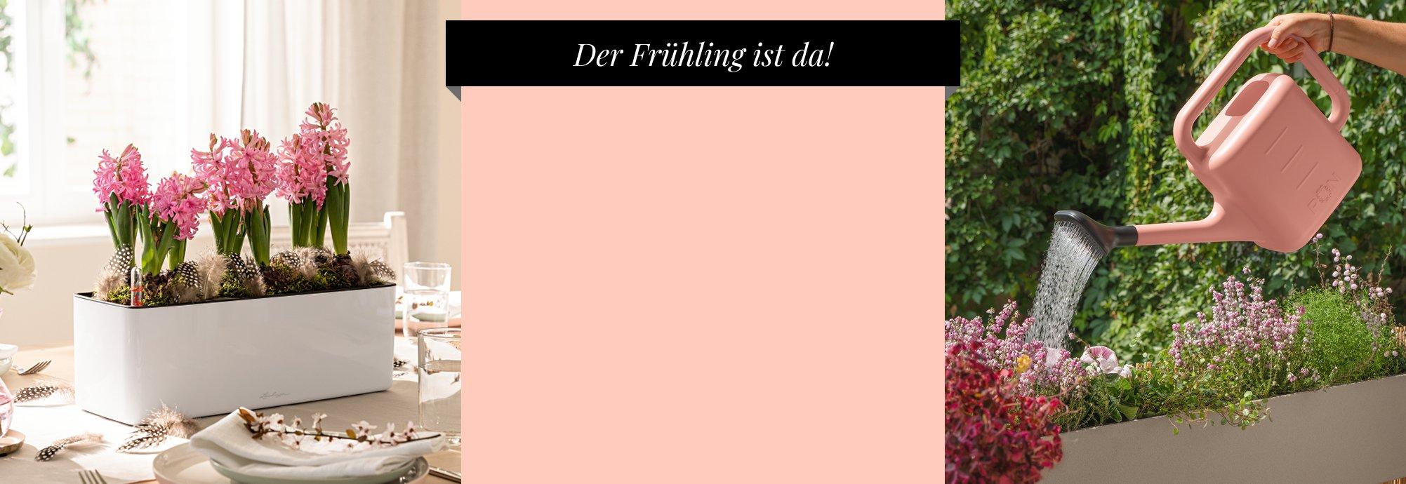 Entdecken Sie unsere Neuheiten