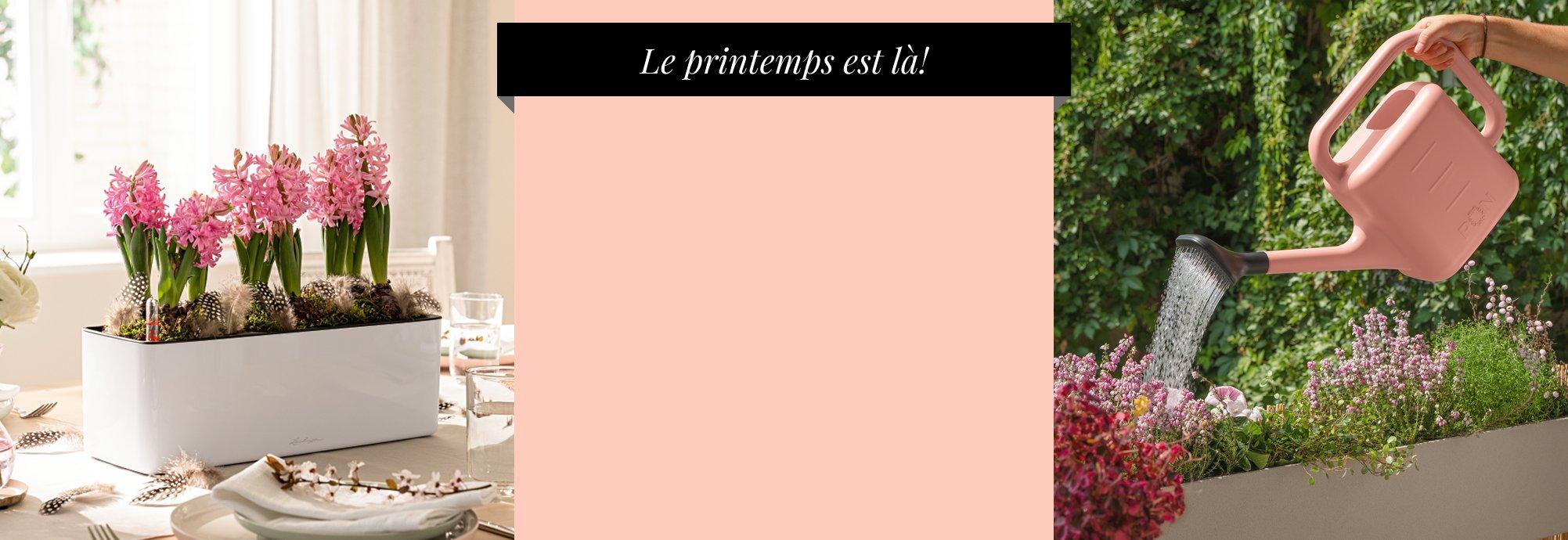 D&eacute;couvrez nos nouveaut&eacute;s