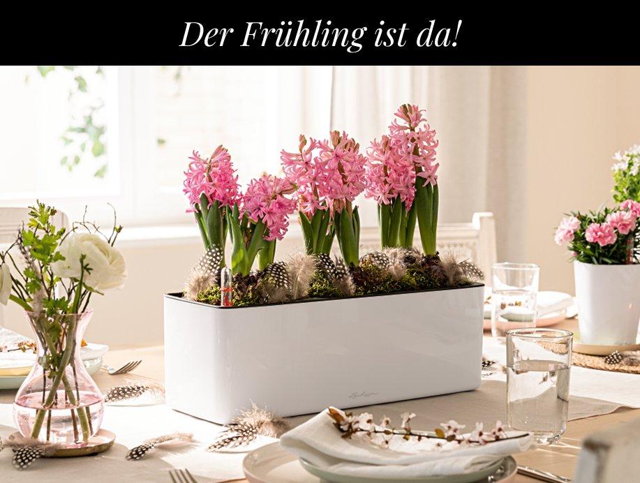 Entdecken Sie unsere Neuheiten