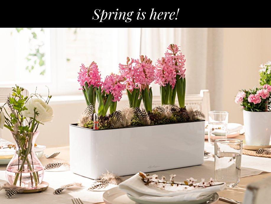 Discover our new products