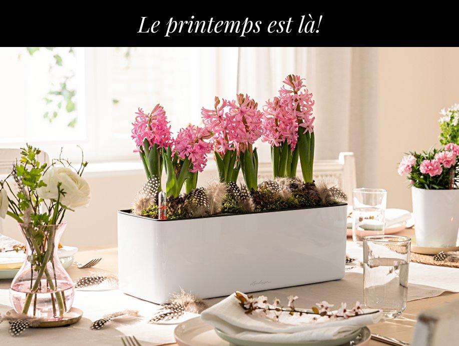 D&eacute;couvrez nos nouveaut&eacute;s