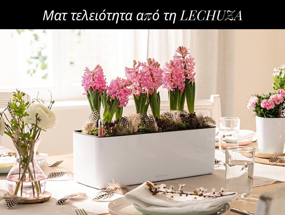 &Alpha;&nu;&alpha;&kappa;&alpha;&lambda;ύ&psi;&tau;&epsilon; &tau;&eta; &nu;έ&alpha; &sigma;&upsilon;&lambda;&lambda;&omicron;&gamma;ή