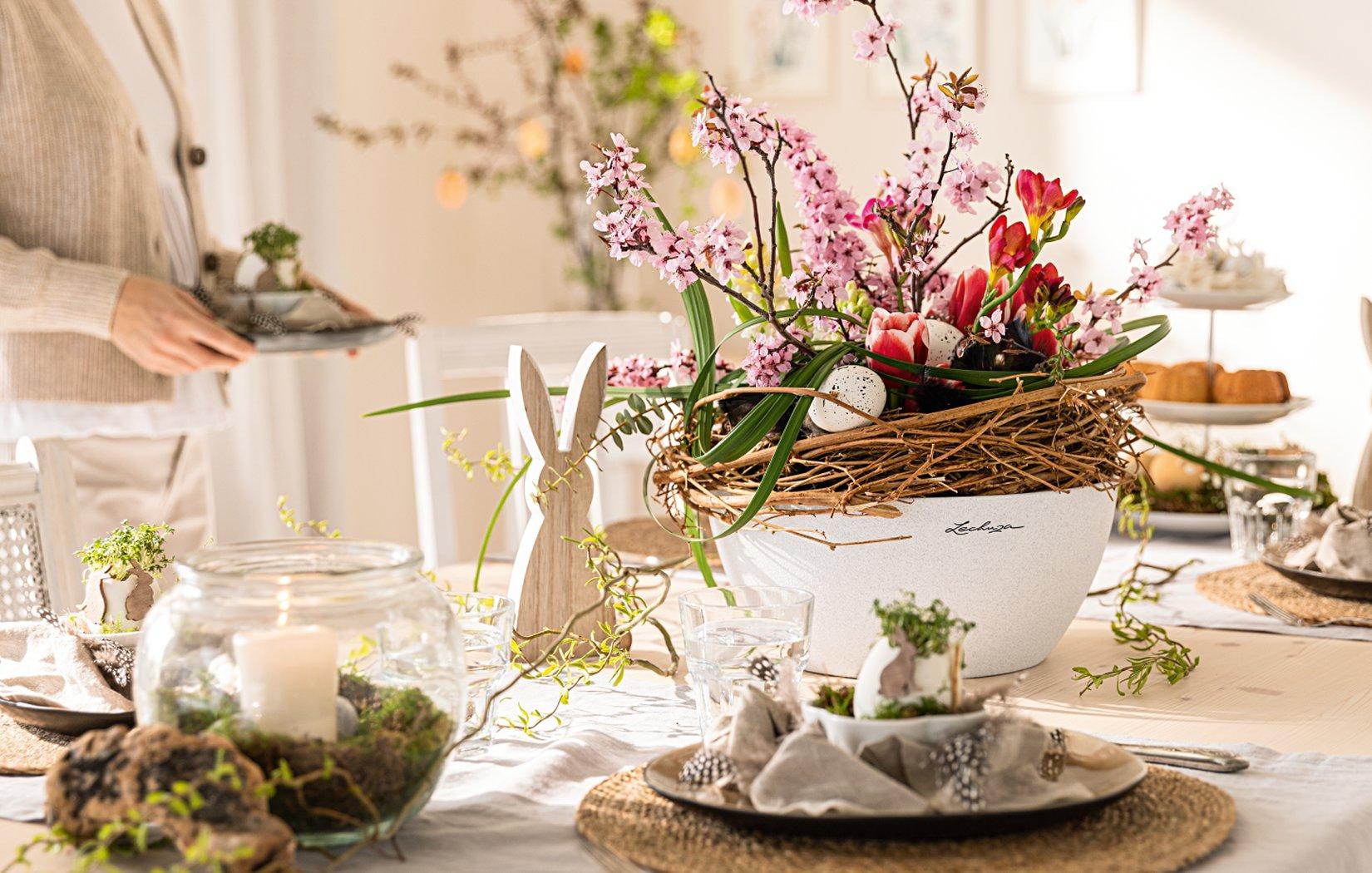 Lechuza
          Pflanzgef&auml;&szlig;e