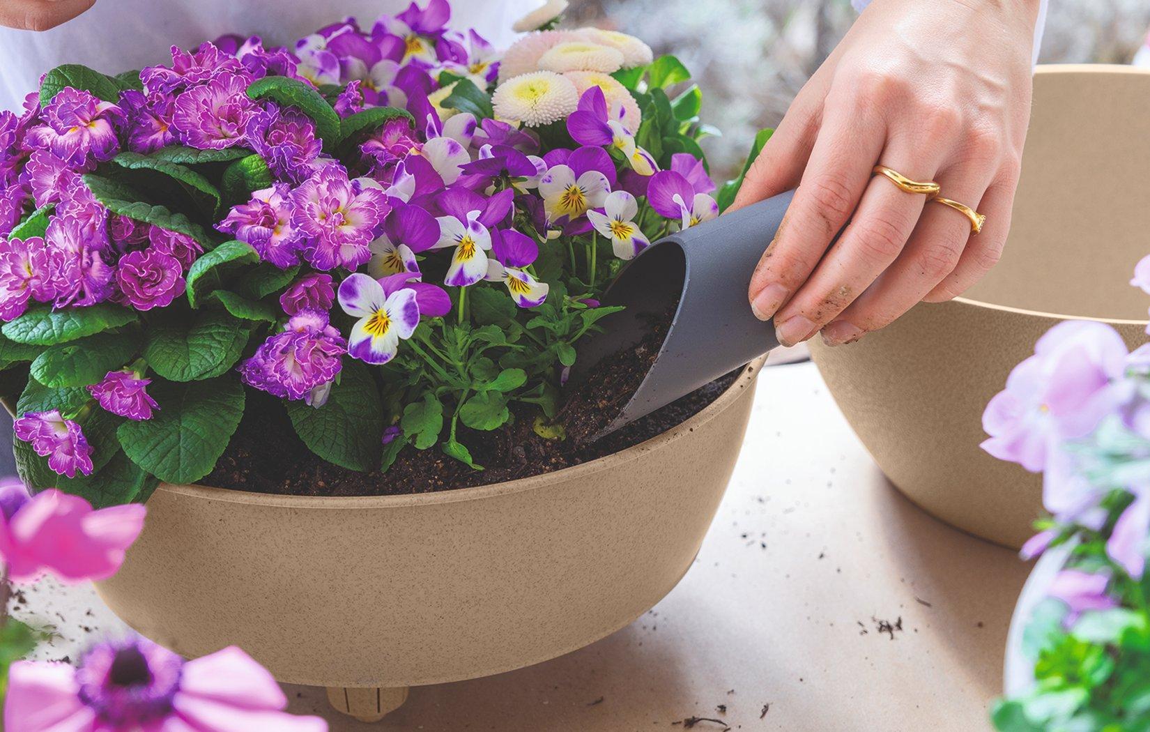 Lechuza
          Pflanzsubstrate