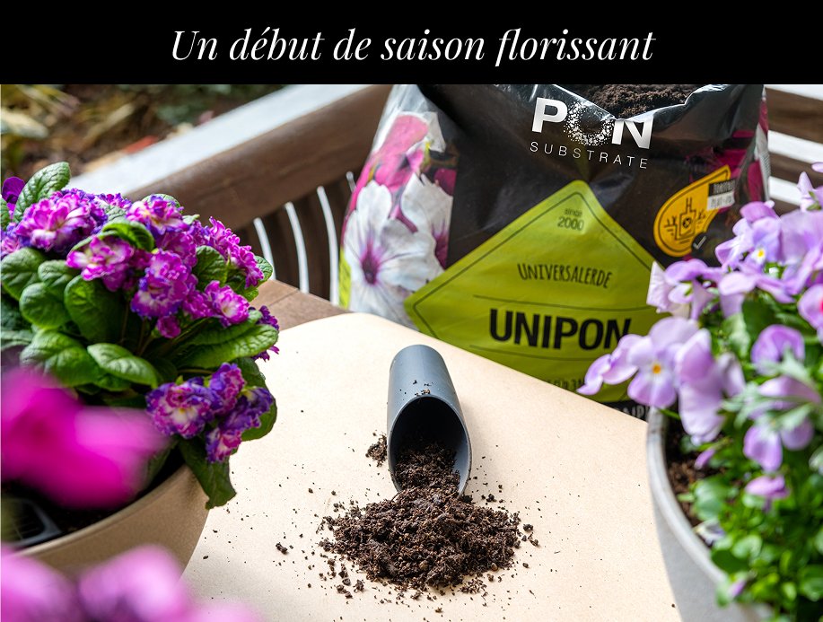 4 &euro; de r&eacute;duction sur
        UNIPON