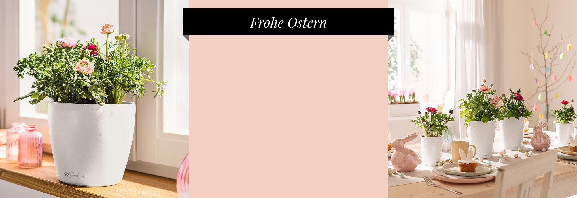 15 % Rabatt auf wei&szlig;e Gef&auml;&szlig;e&sup2;
      Code "OSTERN15"