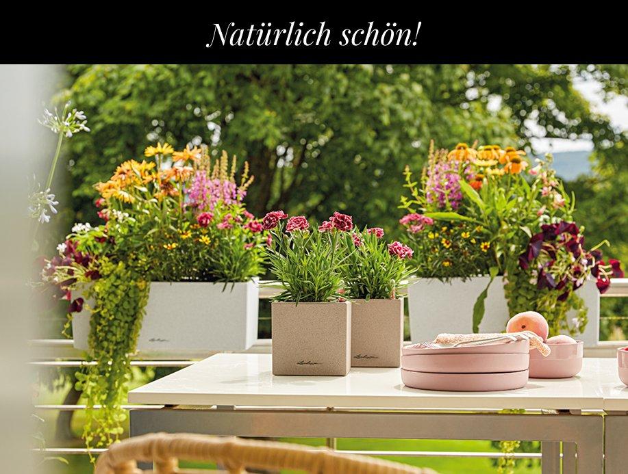 Bis zu 20 &euro; sparen auf alle
        Stone-Gef&auml;&szlig;e