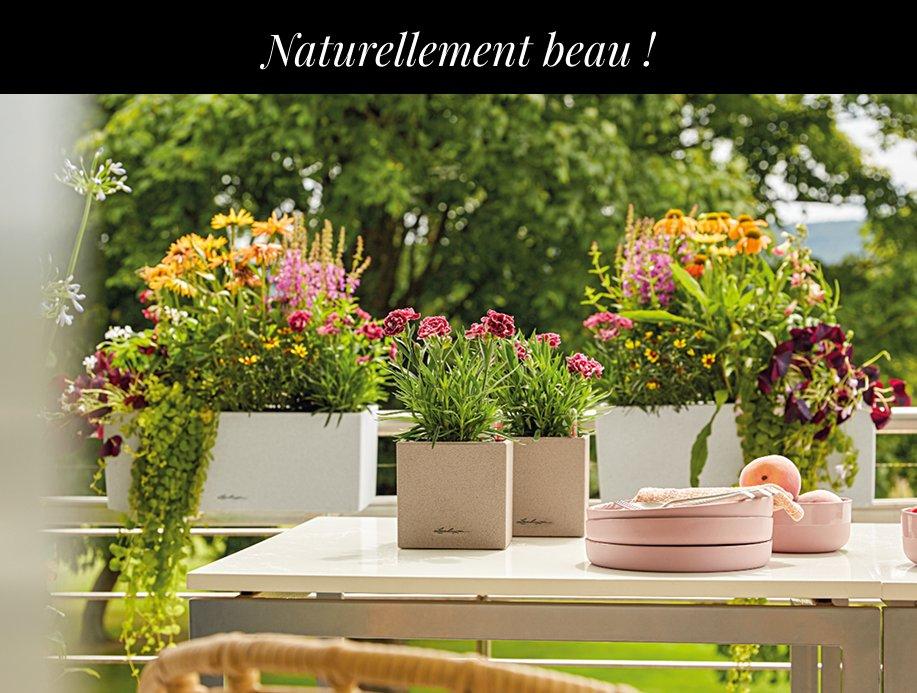 &Eacute;conomisez jusqu&rsquo;&agrave; 20 &euro; sur
        tous les pots de fleurs Stone