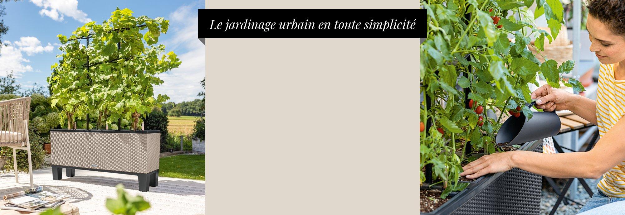Jusqu&rsquo;&agrave; 35 &euro; de r&eacute;duction sur
      TRIO Cottage