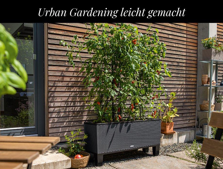 Bis zu 35 &euro; Rabatt auf TRIO
        Cottage