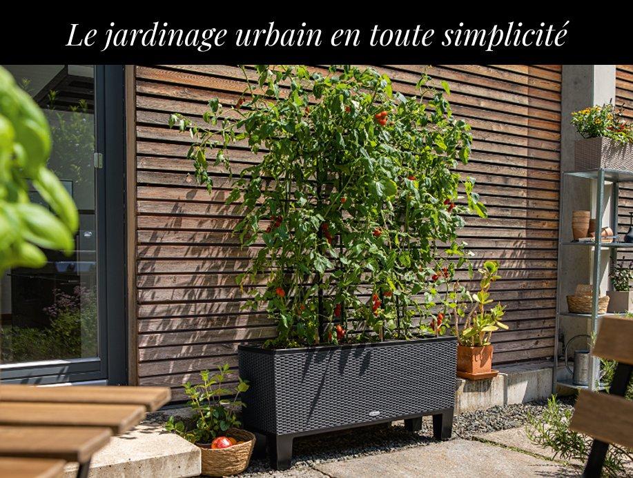Jusqu&rsquo;&agrave; 35 &euro; de r&eacute;duction sur
        TRIO Cottage