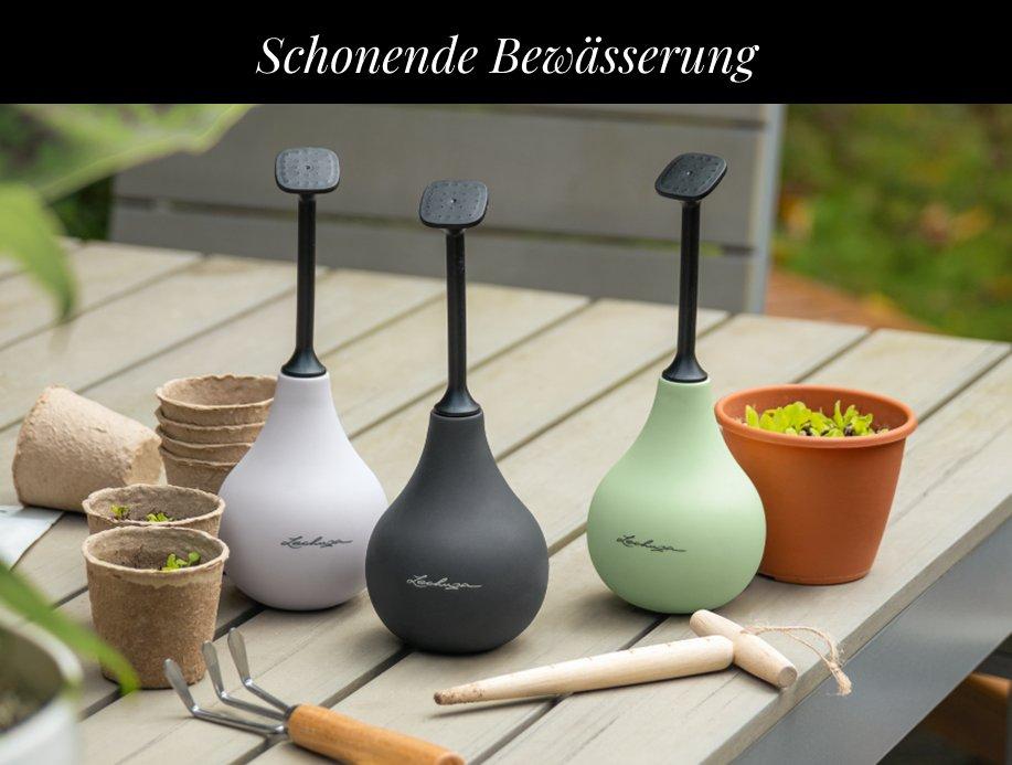 Flower Shower ab 85 &euro;
        geschenkt&sup1;