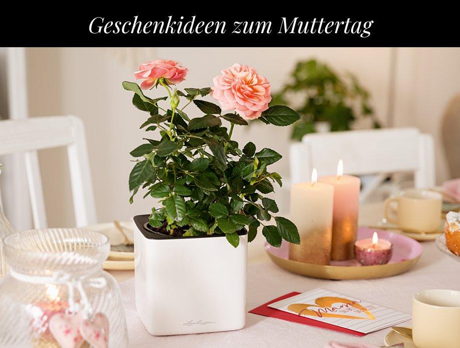 5 &euro; Rabatt&sup1; auf das zweite
        Tischgef&auml;&szlig;