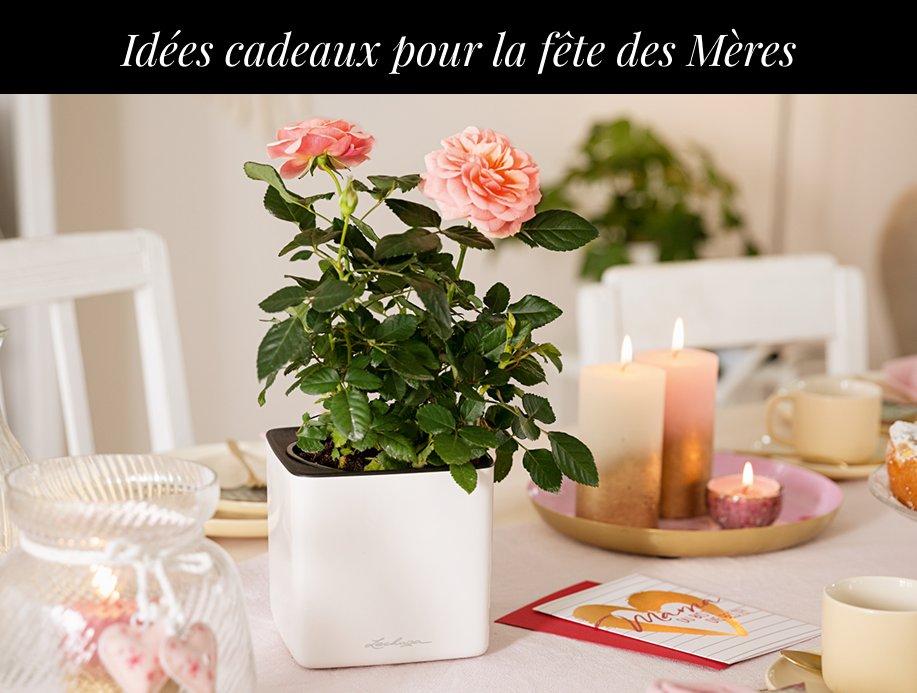 5 &euro; Rabatt&sup1; auf das zweite
        Tischgef&auml;&szlig;