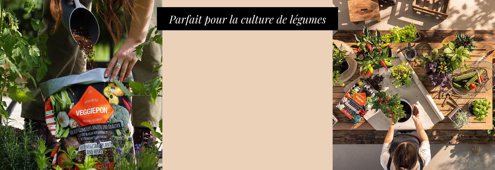 &Eacute;conomisez avec VEGGIEPON&sup2;