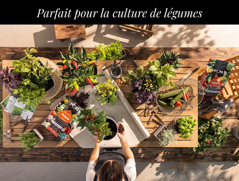 &Eacute;conomisez avec
        VEGGIEPON&sup2;