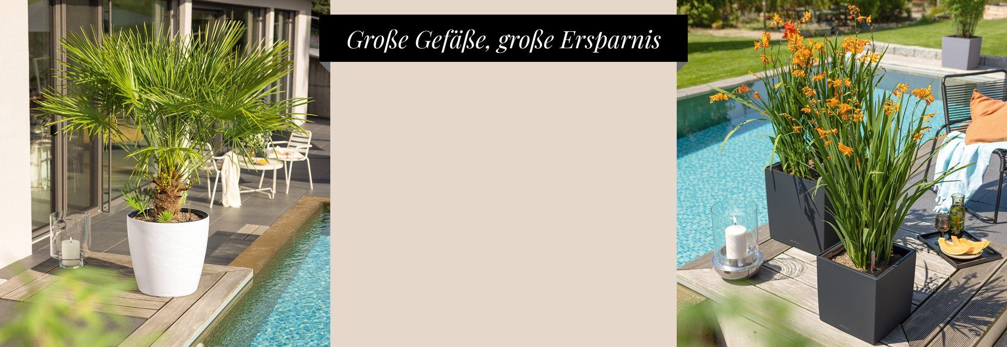 Bis zu 50 &euro; auf gro&szlig;e Gef&auml;&szlig;e
      sparen&sup1;