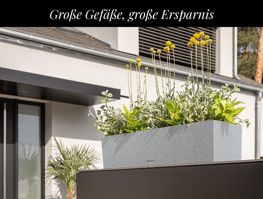 Bis zu 50 &euro; auf gro&szlig;e Gef&auml;&szlig;e
        sparen&sup1;
