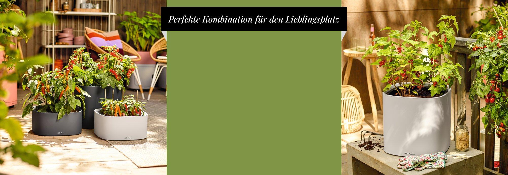 20 % Rabatt auf das 2. PILA Element&sup1;