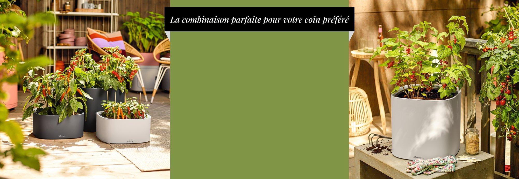20 % de r&eacute;duction sur le 2e &eacute;l&eacute;ment PILA&sup1;