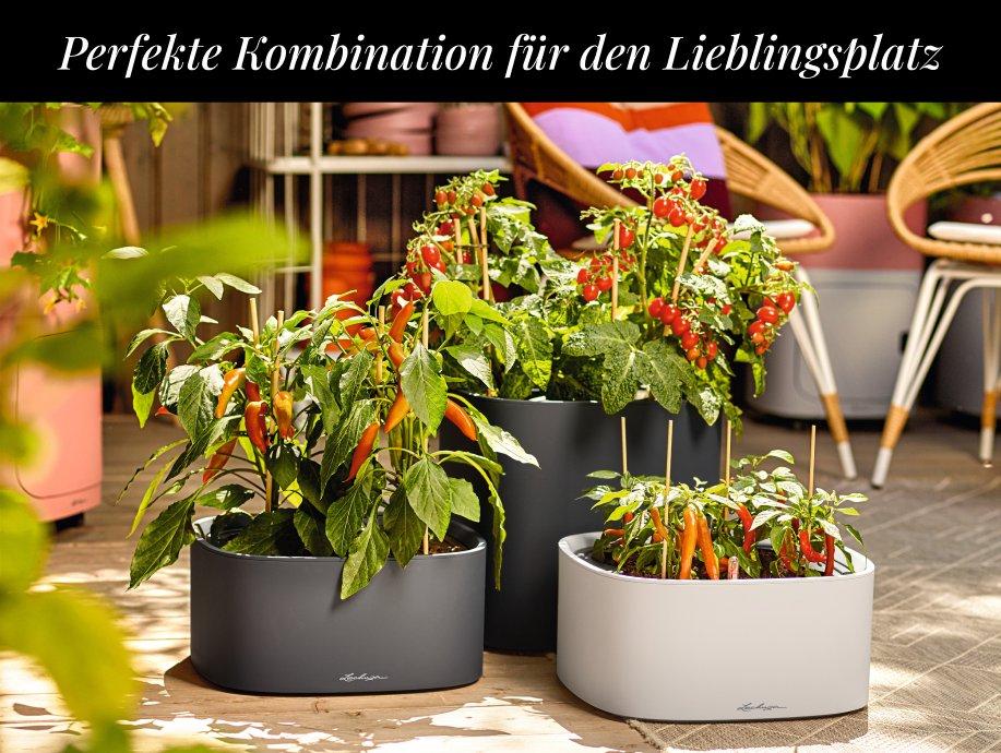 20 % Rabatt auf das 2. PILA Element&sup1;