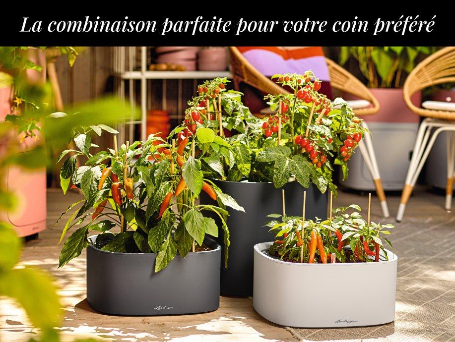 20 % de r&eacute;duction sur le 2e &eacute;l&eacute;ment PILA&sup1;