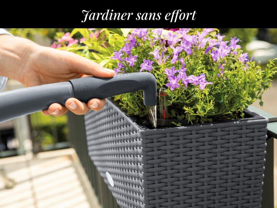 Lechuza Hero Banner Mobile