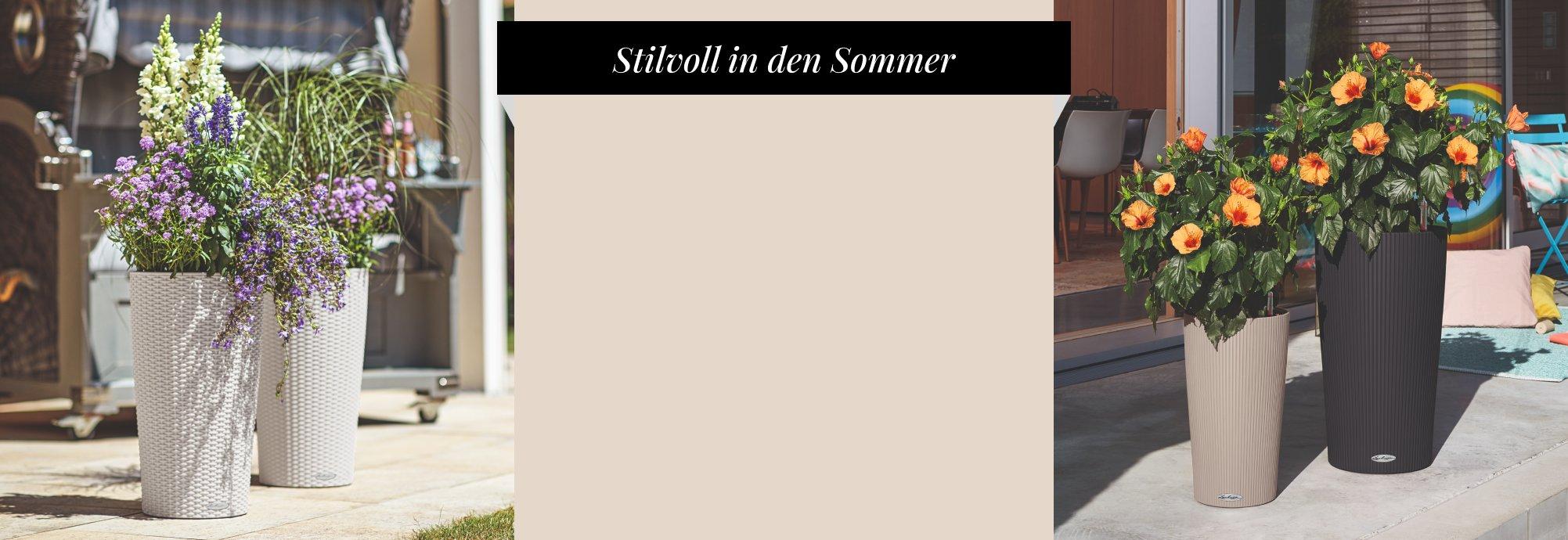 CILINDRO Color 32 und CILINDRO Cottage 32 f&uuml;r jeweils nur 40 &euro;&sup2;