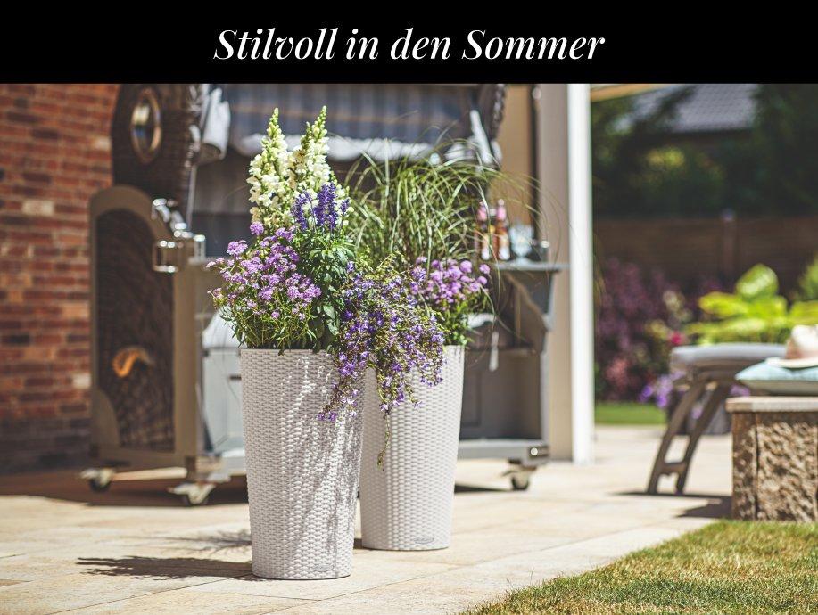 CILINDRO Color 32 und CILINDRO Cottage 32 f&uuml;r jeweils nur 40 &euro;&sup2;