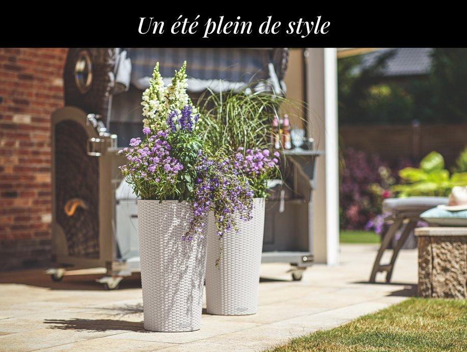 CILINDRO Color 32 &agrave; seulement 45 &euro; chacun