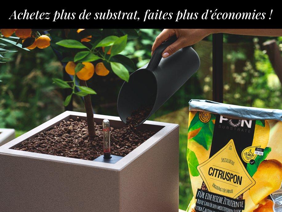 Remise d&eacute;gressive : jusqu&rsquo;&agrave; -20 % sur le PON