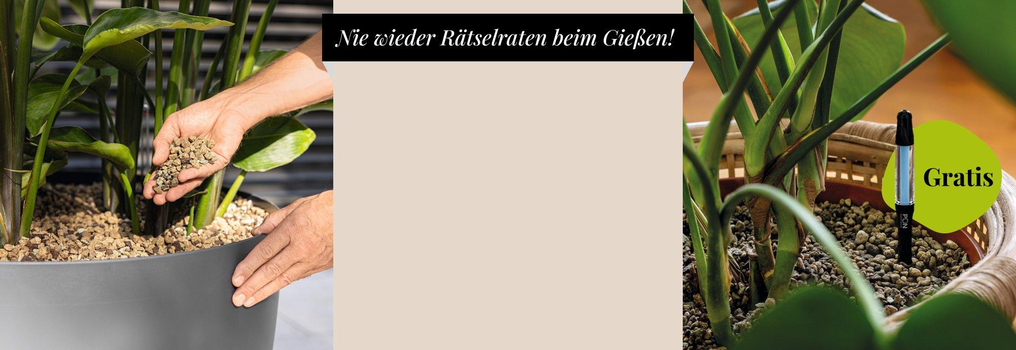 Gratis Gie&szlig;anzeiger beim Kauf von PON