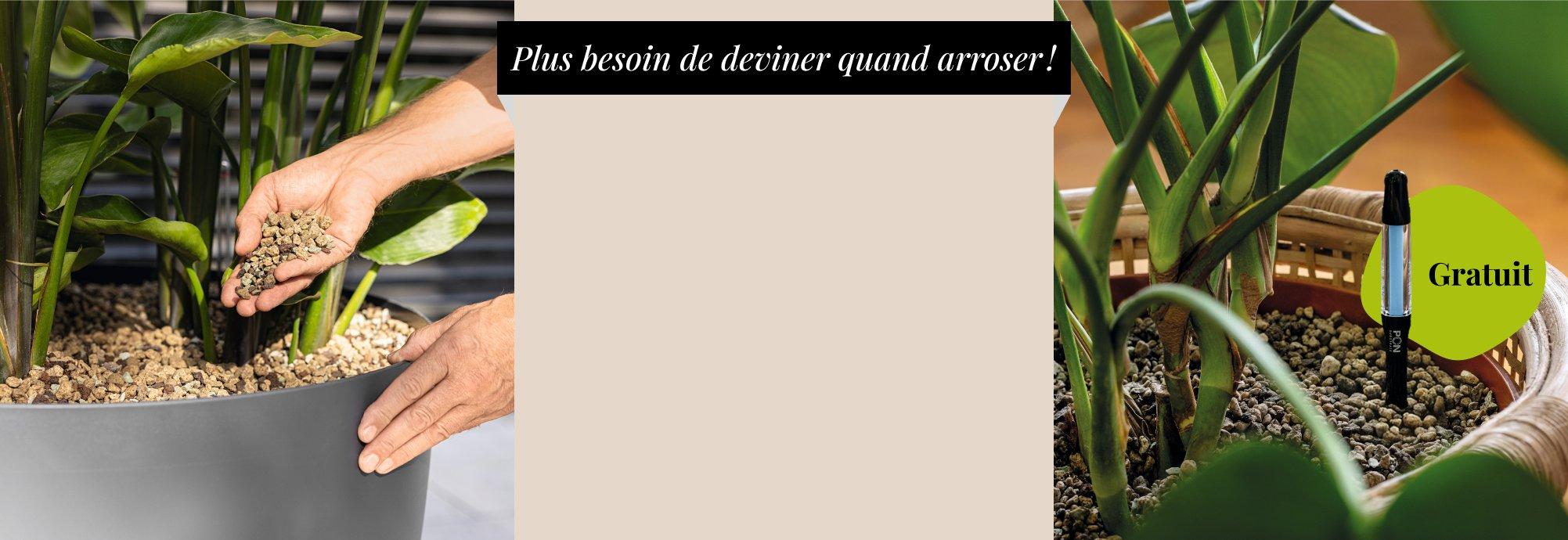 Indicateur d&rsquo;arrosage offert pour tout achat de PON