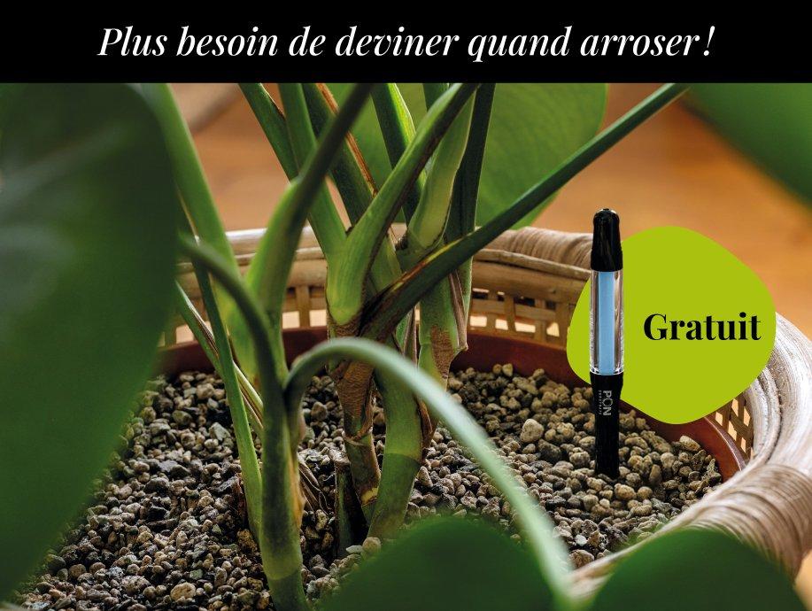 Indicateur d&rsquo;arrosage offert pour tout achat de PON