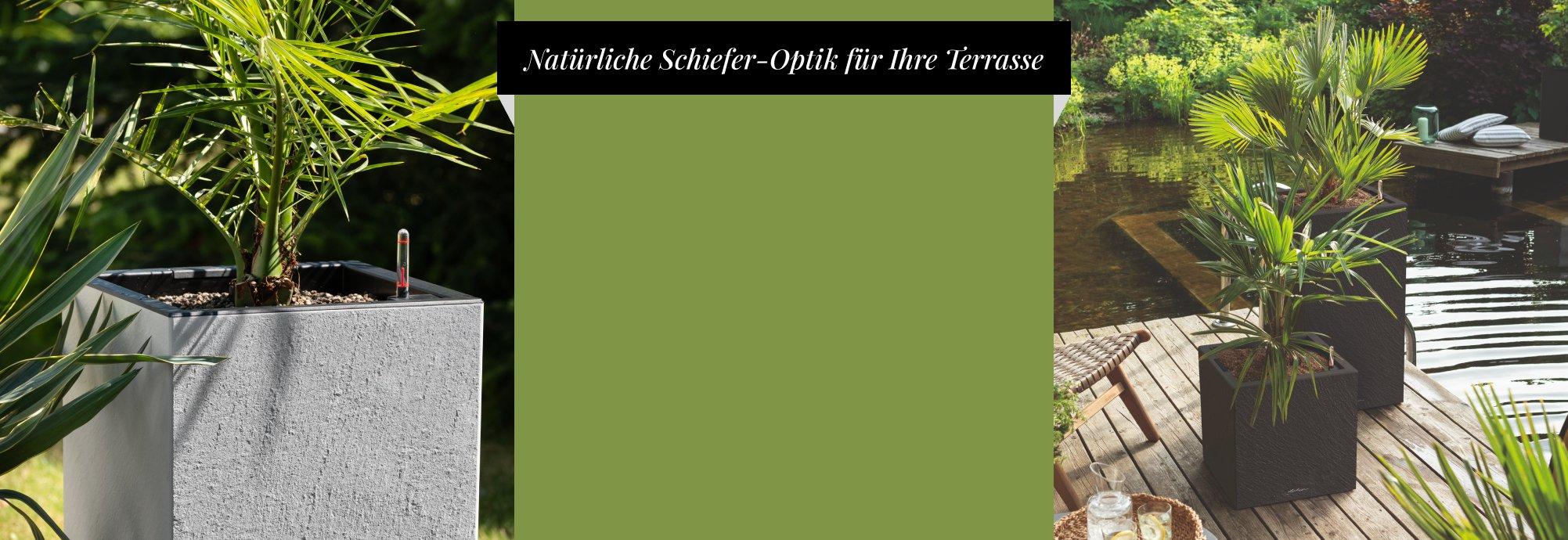 Bis zu 25 &euro; Rabatt auf CANTO Slatestone