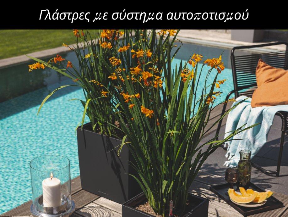 &Omicron; &iota;&delta;&alpha;&nu;&iota;&kappa;ό&sigmaf; &beta;&omicron;&eta;&theta;ό&sigmaf; &sigma;&alpha;&sigmaf; &sigma;&tau;&omicron; &pi;ό&tau;&iota;&sigma;&mu;&alpha; ό&tau;&alpha;&nu; &lambda;&epsilon;ί&pi;&epsilon;&tau;&epsilon;!