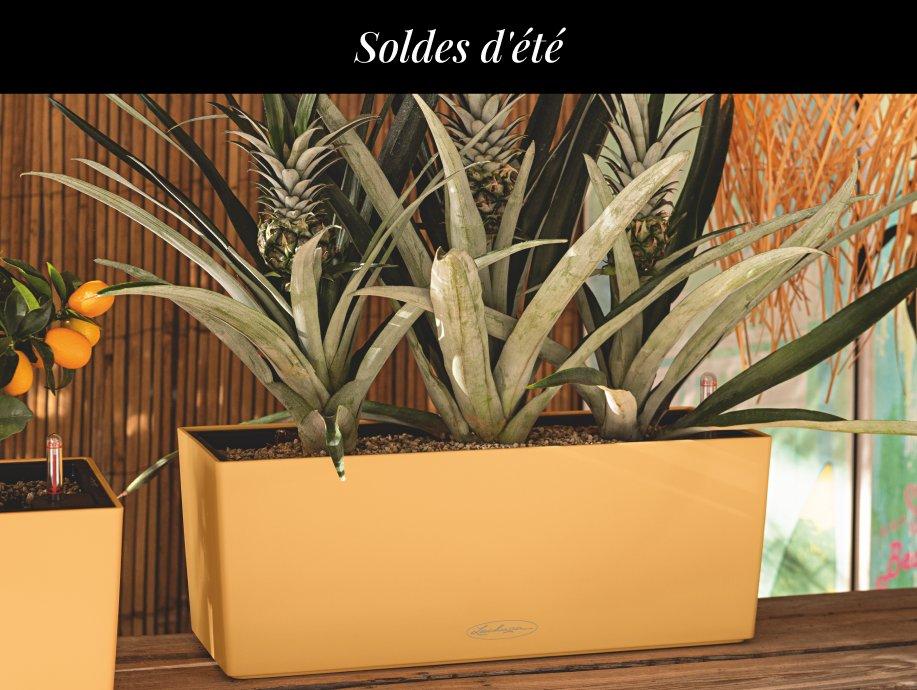 Profitez de jusqu\'&agrave; 30 &euro; de r&eacute;duction&sup1;