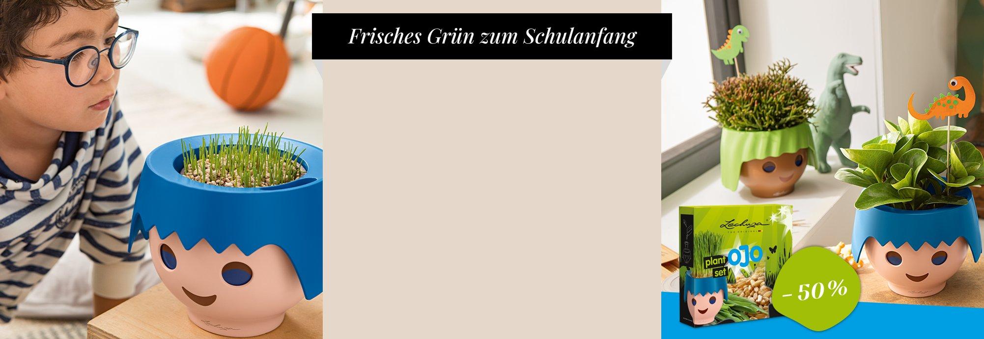 50 % Rabatt auf das Pflanz-Set beim Kauf von OJO