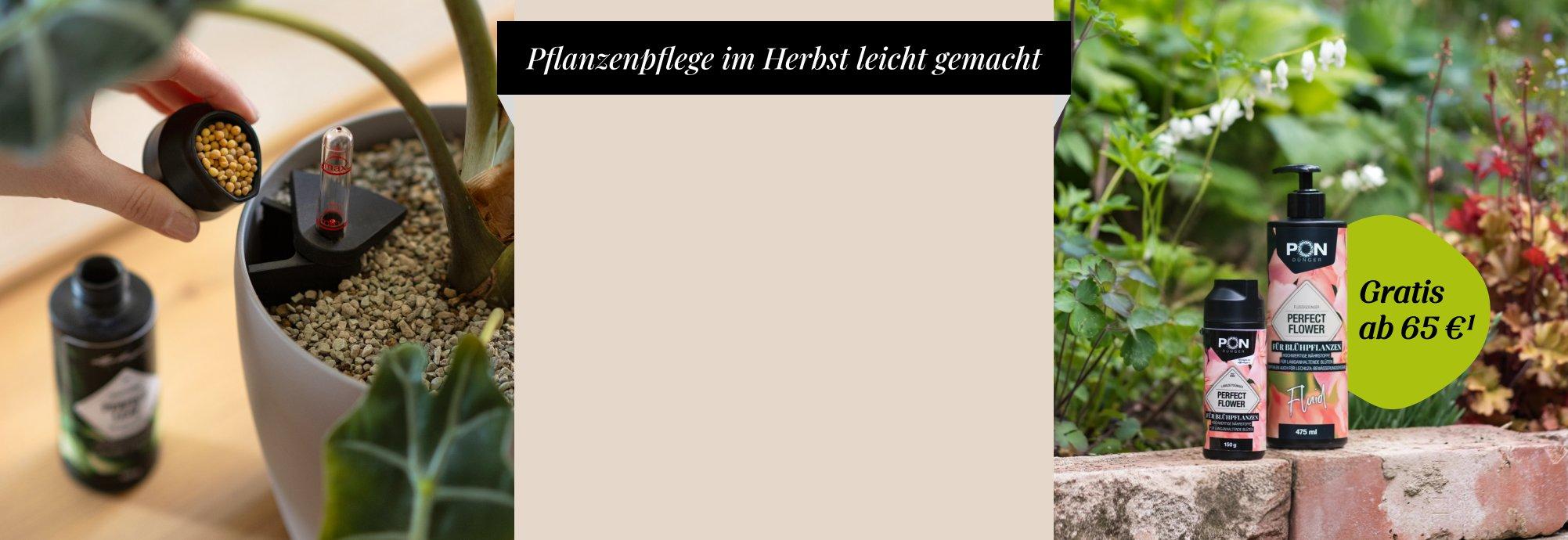 Gratis D&uuml;nger ab 65 &euro; Warenwert