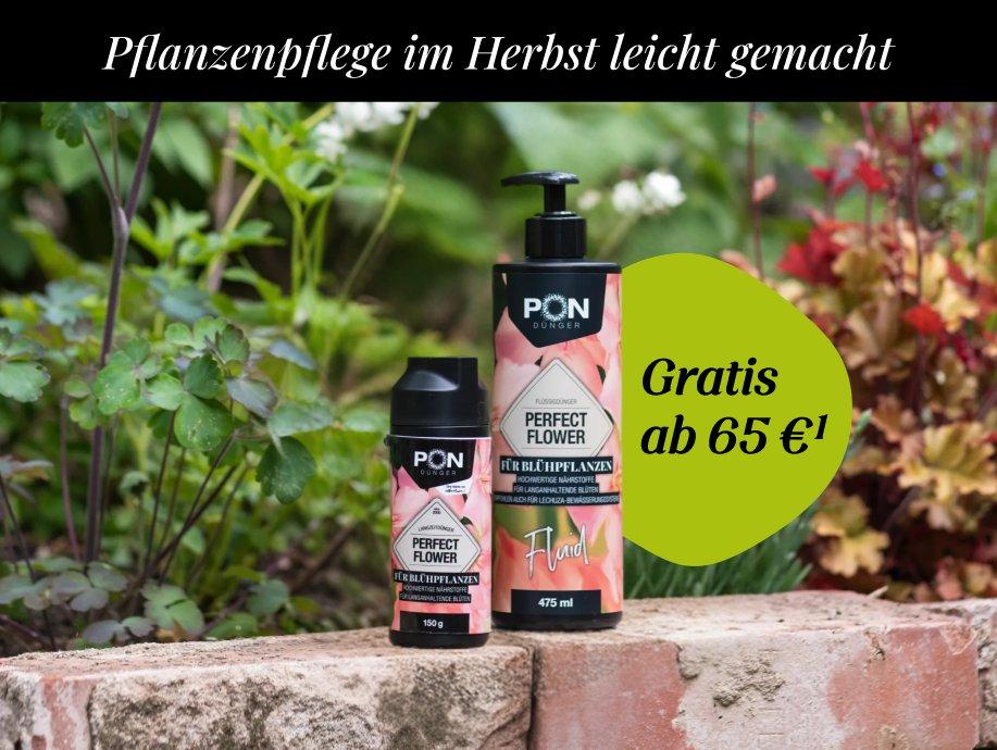 Gratis D&uuml;nger ab 65 &euro; Warenwert