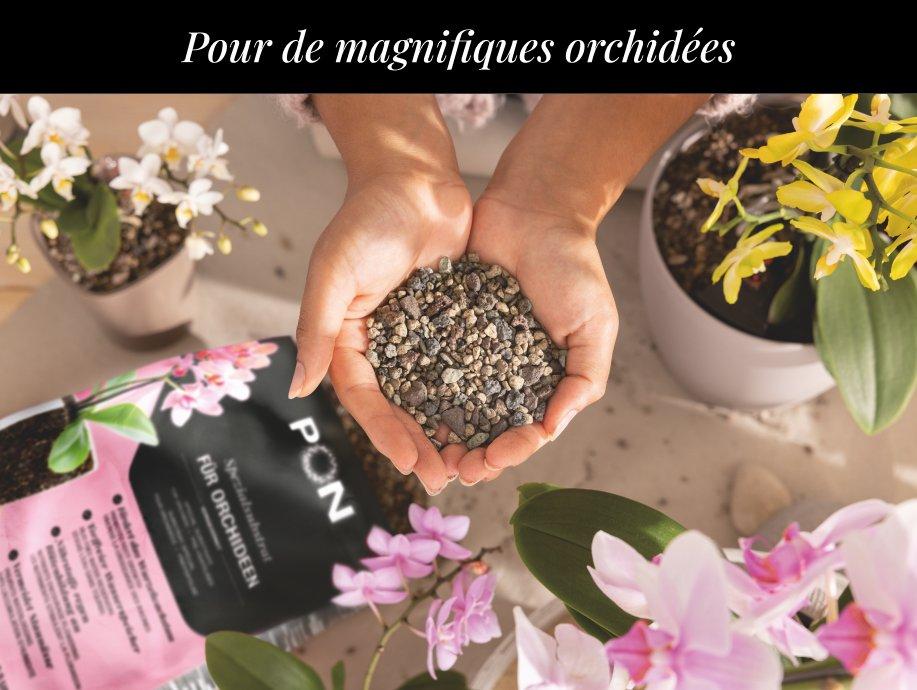 ORCHIDPON &agrave; prix sp&eacute;cial