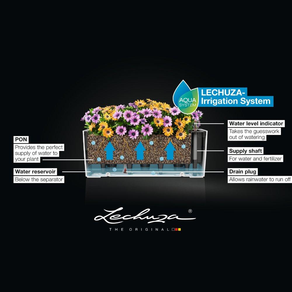 le_BALCONERA-40-50_BWS_EN