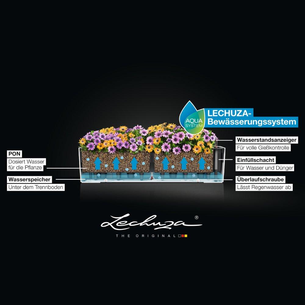 le_BALCONERA-80-100_BWS_DE