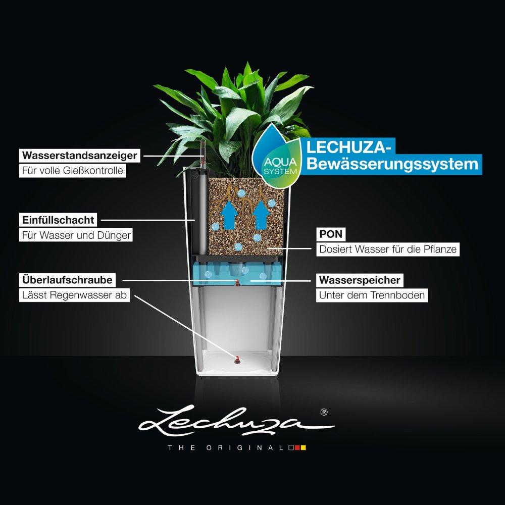 le_BWS_cubico_high_DE