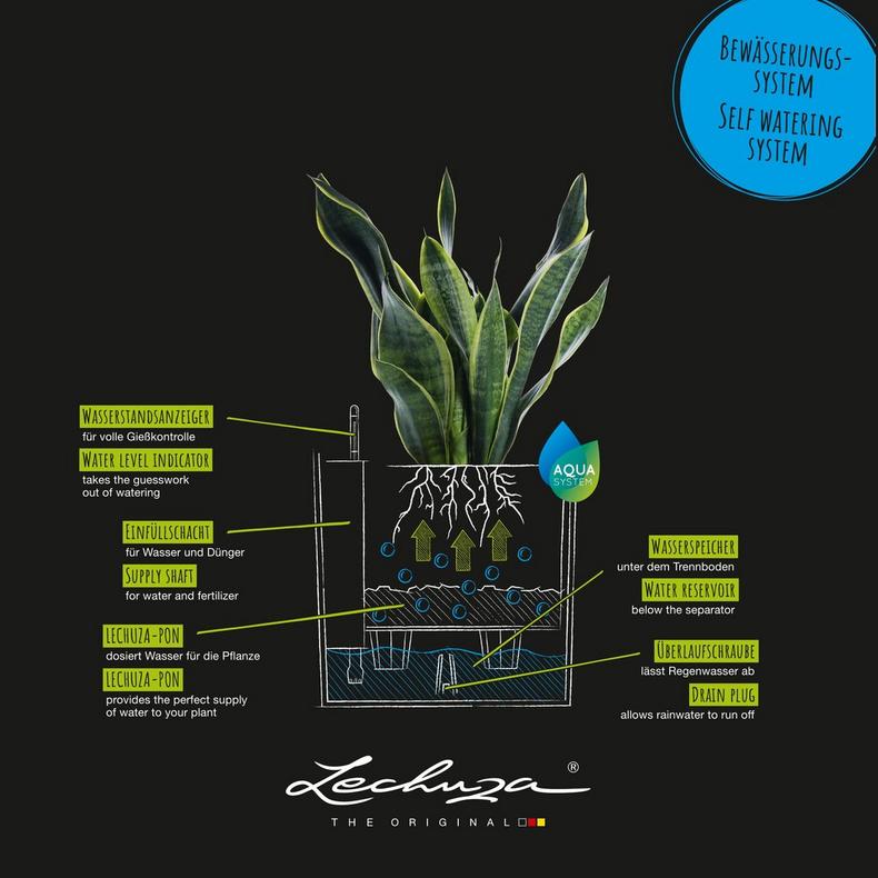 le_CANTO-high-low_PALO-high-low