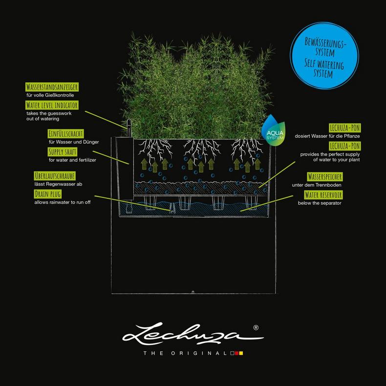 le_CANTO-wide_PALO-wide