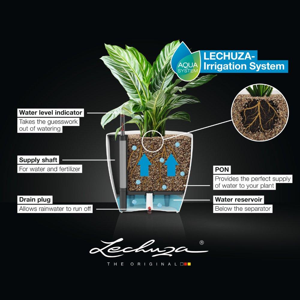 le_CLASSICO-12-14_EN